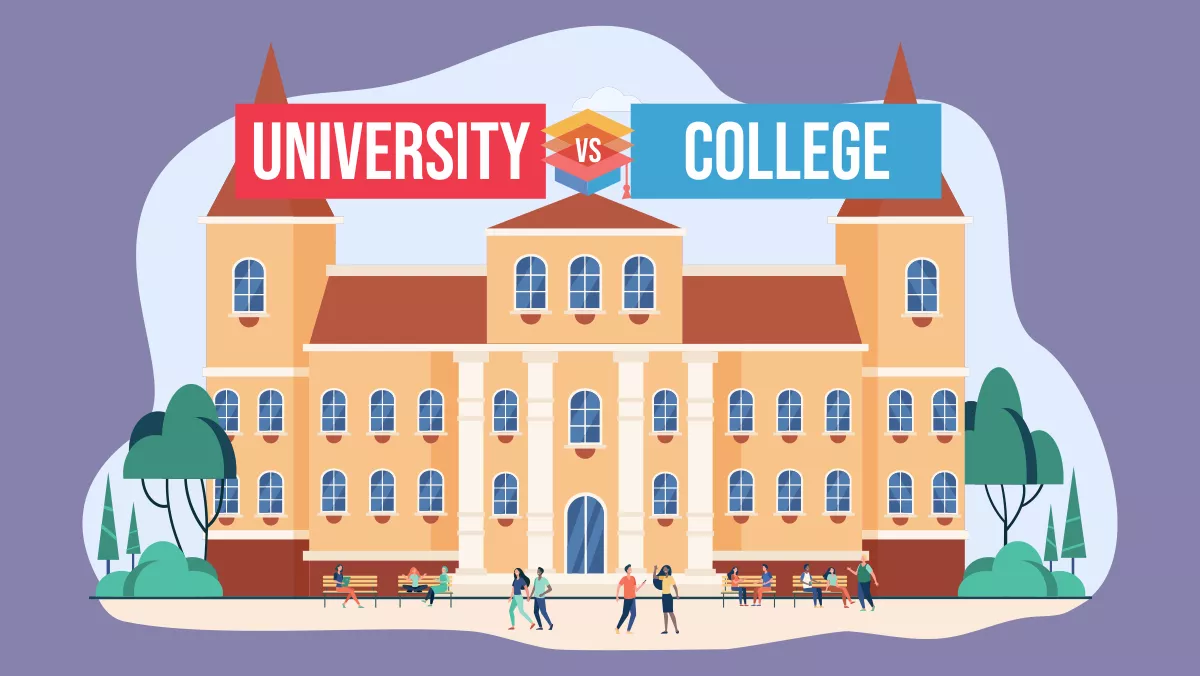 college and university