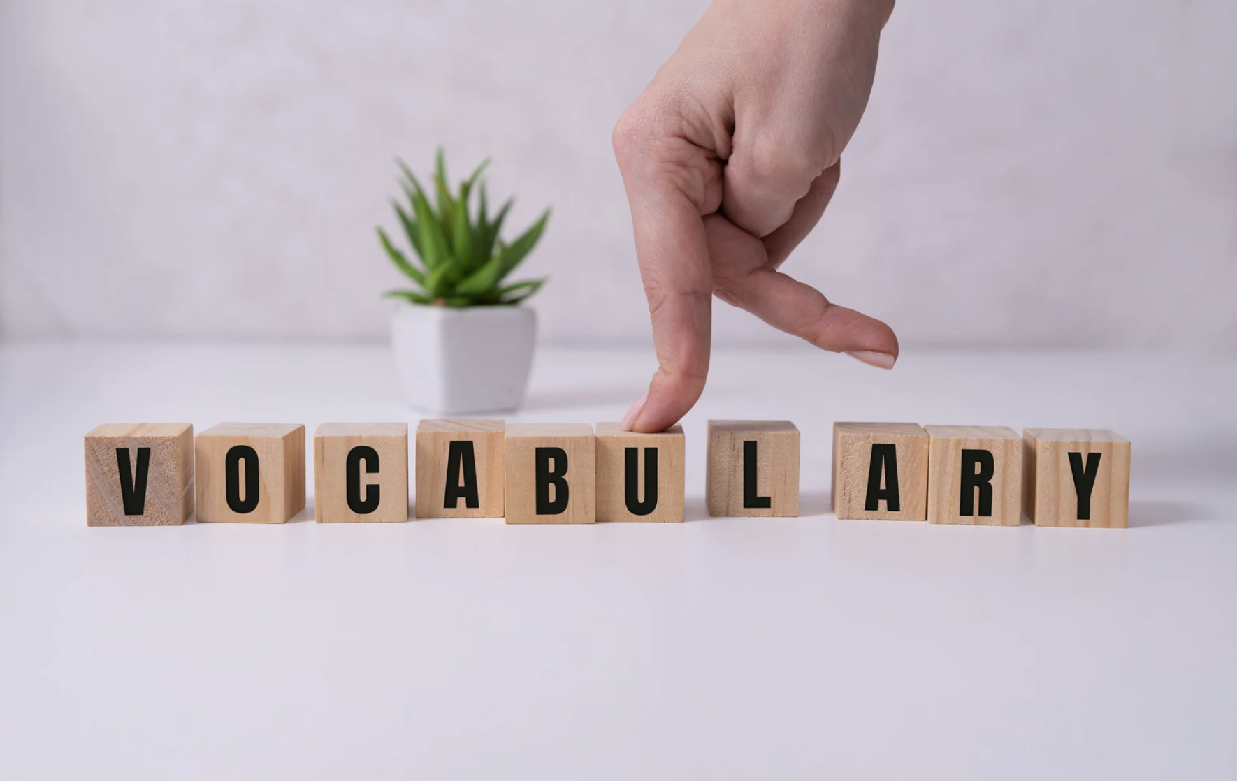IELTS Kelime Soruları: Çıkmış ve Çıkabilecek 20 Önemli Vocabulary Sorusu